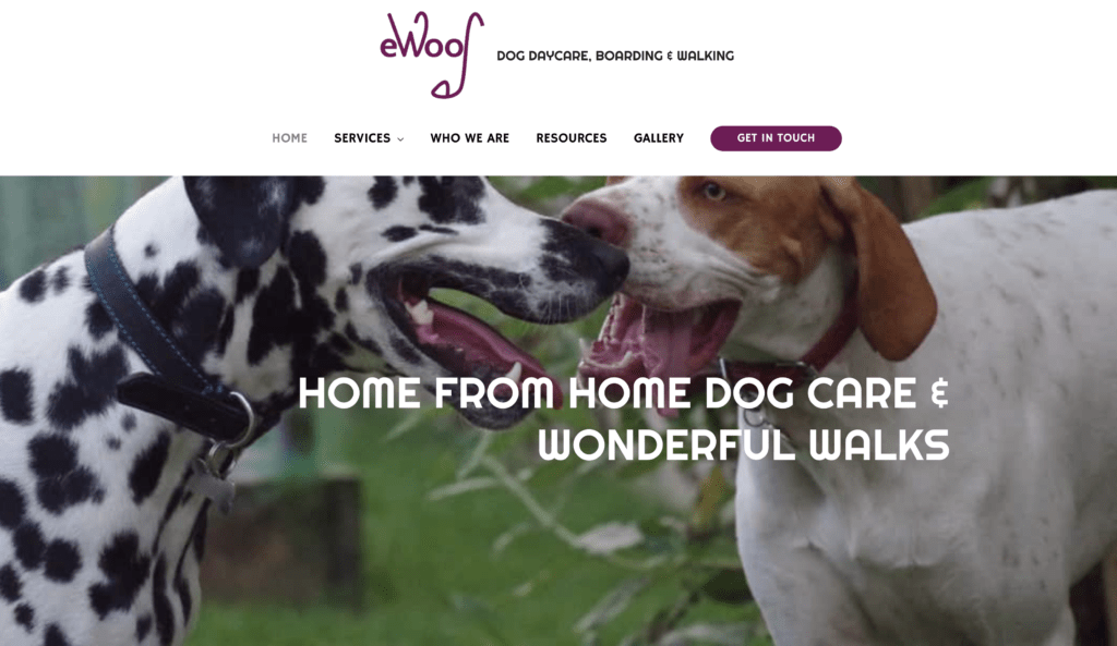 eWoof dog walker and daycare flackwell heath home page